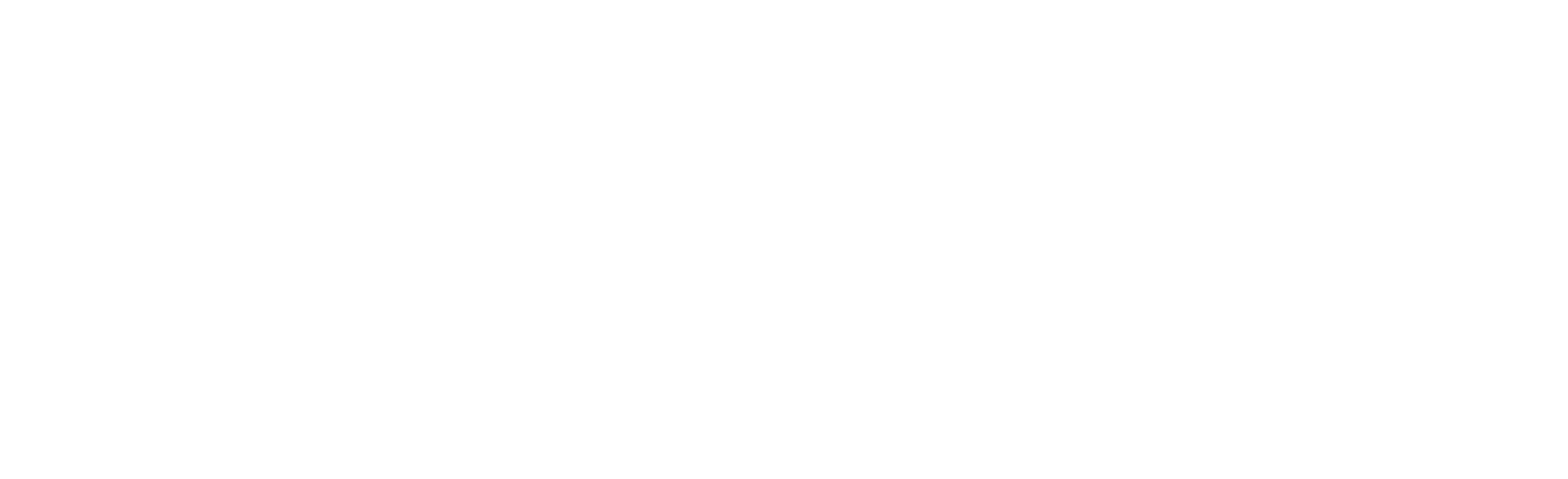 Company Name logo
